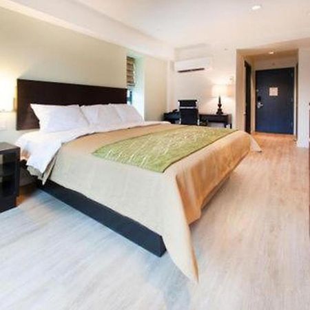 Comfort Inn & Suites - Kew Gardens Near La Guardia Airport New York Luaran gambar