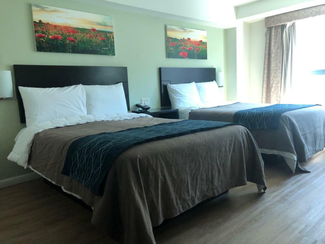 Comfort Inn & Suites - Kew Gardens Near La Guardia Airport New York Luaran gambar
